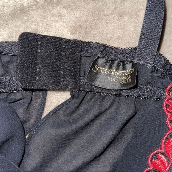 SW by Cinema ETOILE L Black Red Embroidered Chiffon Intimate Gown with Thong - Picture 9 of 11